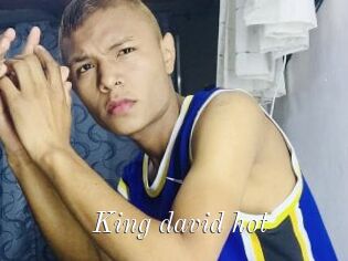 King_david_hot