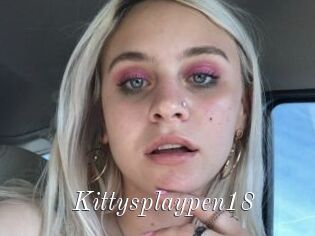 Kittysplaypen18