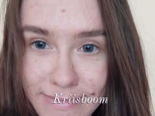 Kriisboom