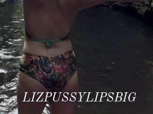 LIZPUSSYLIPSBIG
