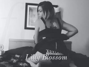 Lilly_Blossom