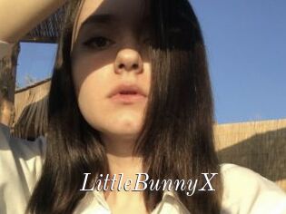LittleBunnyX