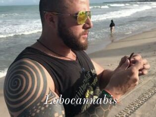 Lobocannabis