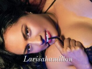 Larisahamilton