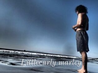 Littlecurly_marley