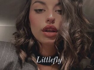 Littlefly