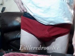 Littleredrooster