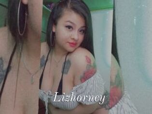 Lizhorney