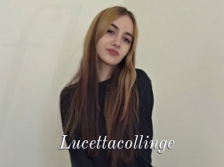 Lucettacollinge