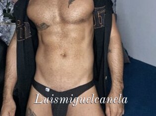 Luismiguelcanela