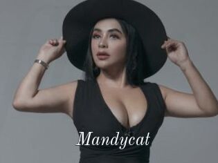 Mandycat