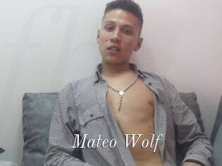 Mateo_Wolf