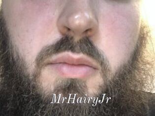 MrHairyJr