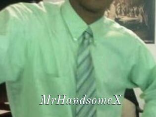 MrHandsomeX