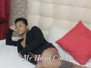 Mr_Hard_Cock1