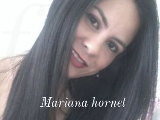 Mariana_hornet