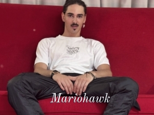 Mariohawk