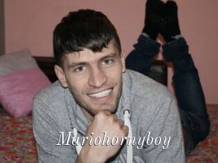 Mariohornyboy