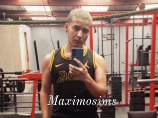 Maximosims