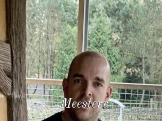 Meesterv