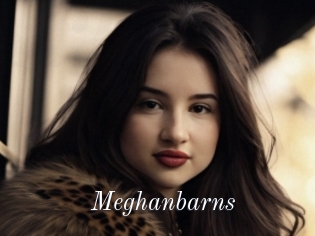 Meghanbarns