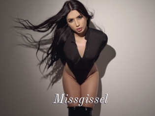 Missgissel