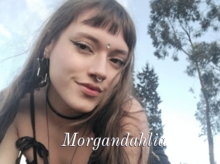 Morgandahlia