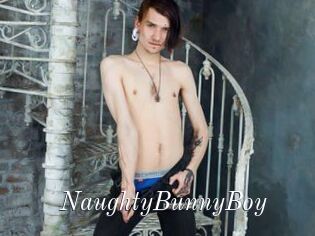 NaughtyBunnyBoy