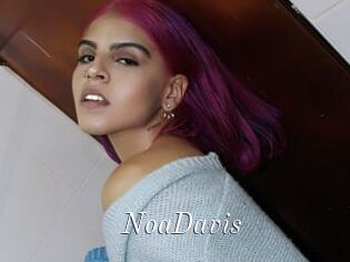 NoaDavis