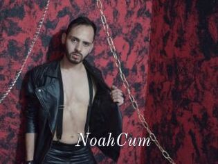 NoahCum