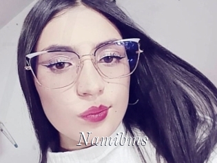Namibms