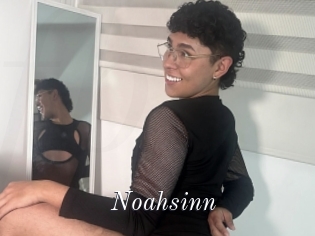 Noahsinn