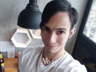 Nozel
