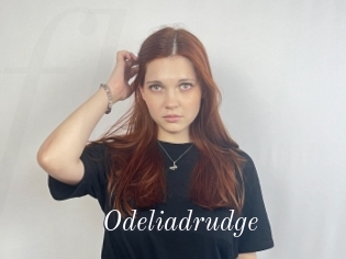 Odeliadrudge