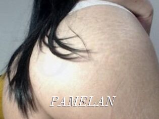 PAMELA_N