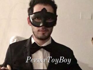 PerverToyBoy