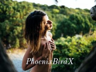 PhoenixBirdX