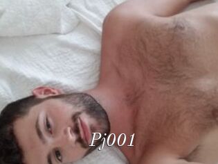Pj001