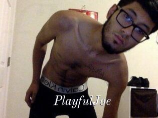 PlayfulJoe