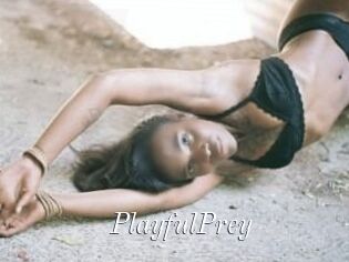 PlayfulPrey