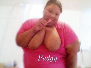 Pudgy