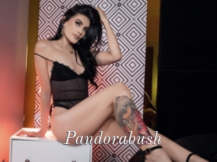 Pandorabush