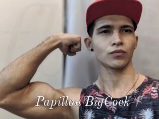 Papillon_BigCock