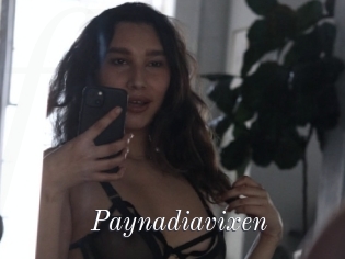 Paynadiavixen