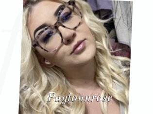 Paytonnrose