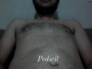 Pedwil