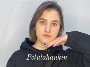 Petulahankin