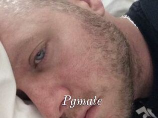 Pgmate