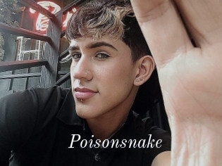 Poisonsnake