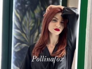 Pollinafox